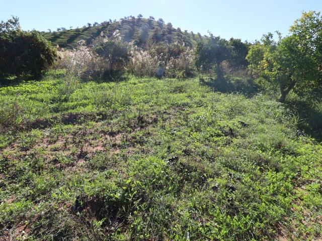 Terreno, Castro Marim