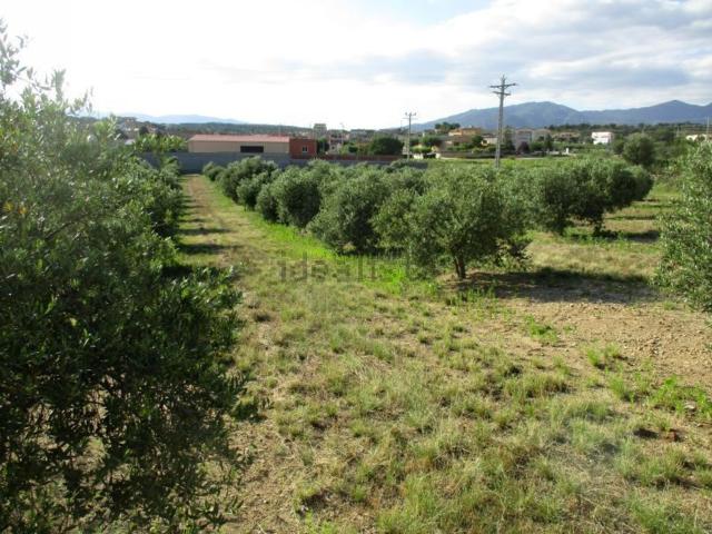 Terreno, Capmany