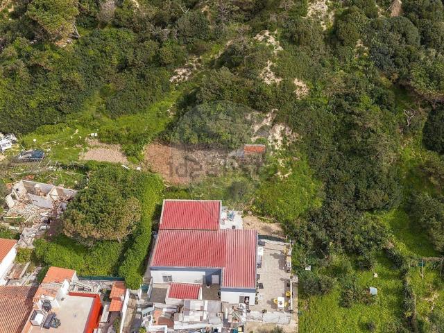 Terreno, Caparica e Trafaria