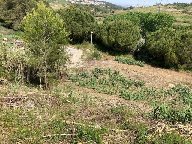 Terreno, Caparica e Trafaria