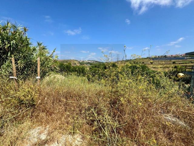 Terreno, Caparica e Trafaria