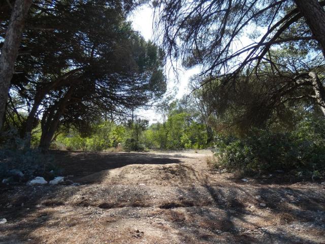 Terreno, Caparica e Trafaria