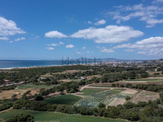 Terreno, Caparica e Trafaria