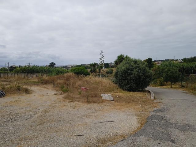Terreno, Caparica e Trafaria