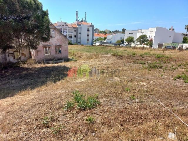 Terreno, Caparica e Trafaria