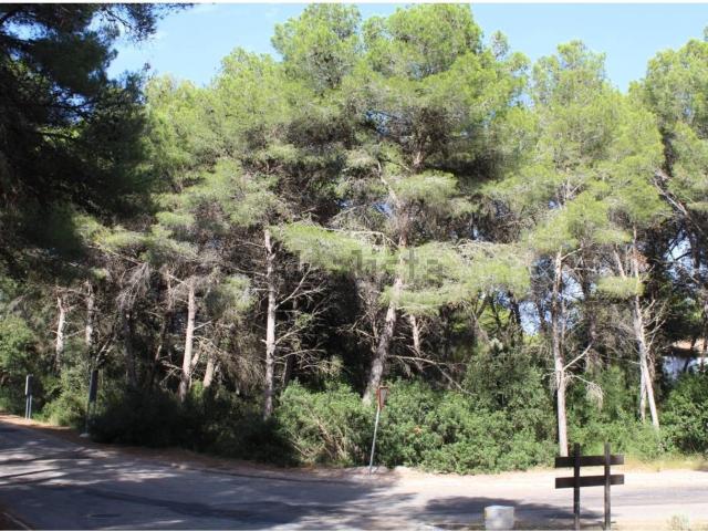 Terreno, Capdepera