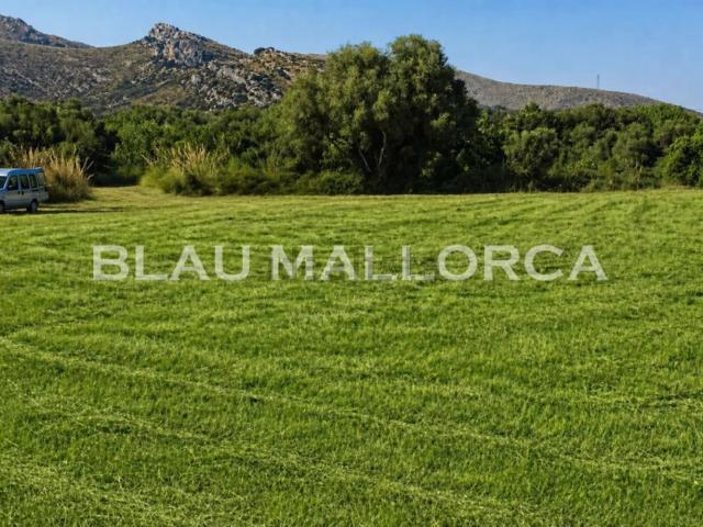 Terreno, Capdepera