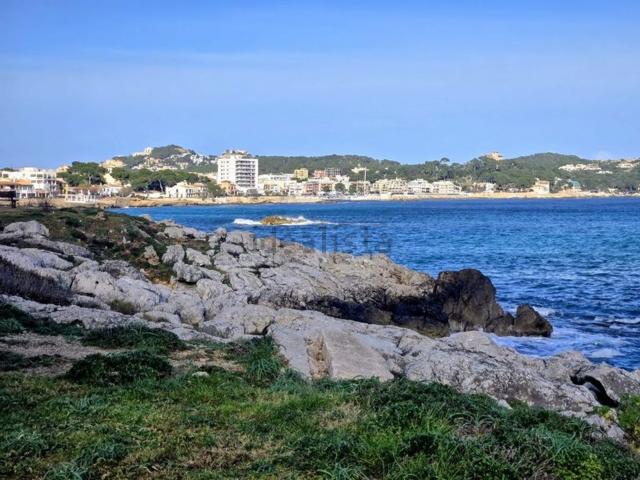 Terreno, Capdepera