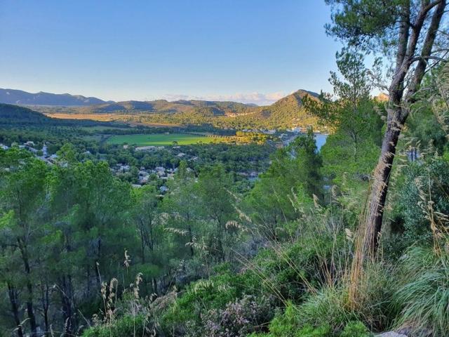 Terreno, Capdepera