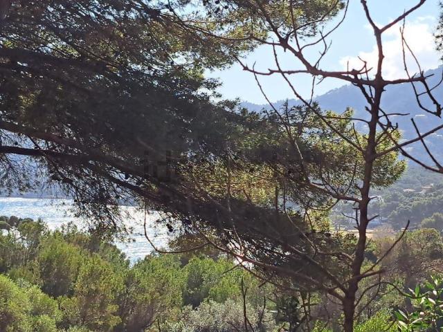 Terreno, Capdepera