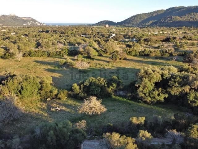 Terreno, Capdepera