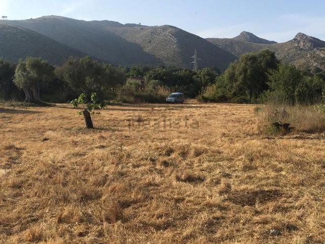 Terreno, Capdepera
