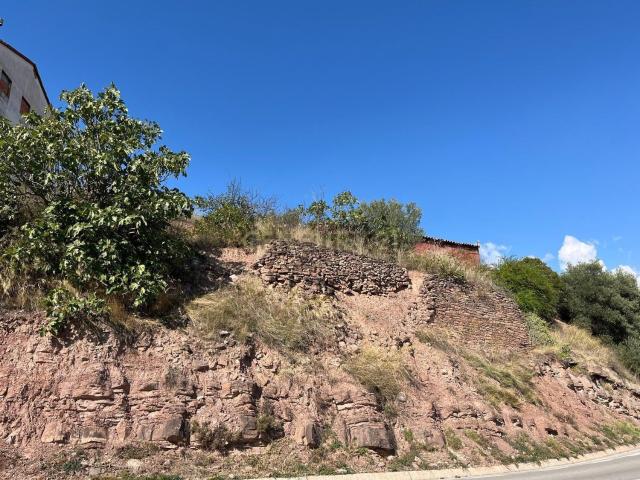 Terreno, Cardona