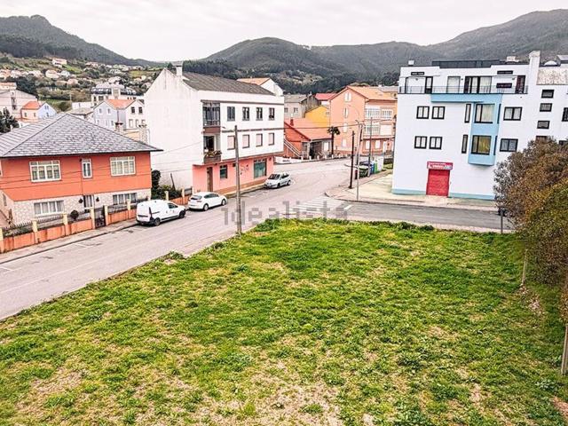 Terreno, Cariño