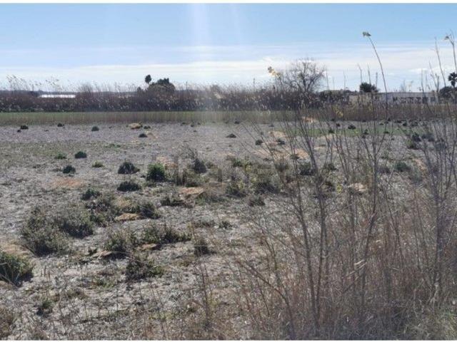 Terreno, Carrús Oeste, Elche / Elx
