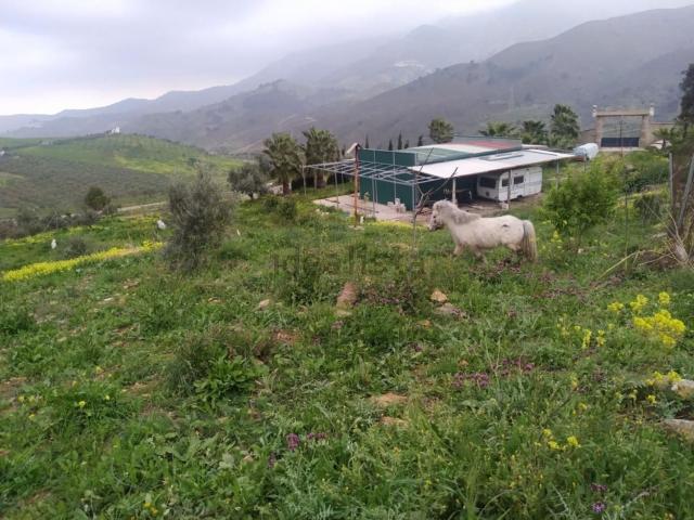 Terreno, Carratraca