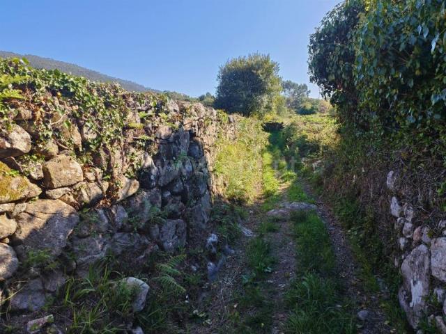 Terreno, Carreço, Viana do Castelo | BPI Expresso Imobiliário
