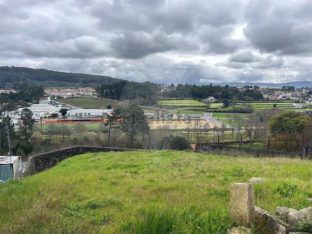 Terreno, Carregosa