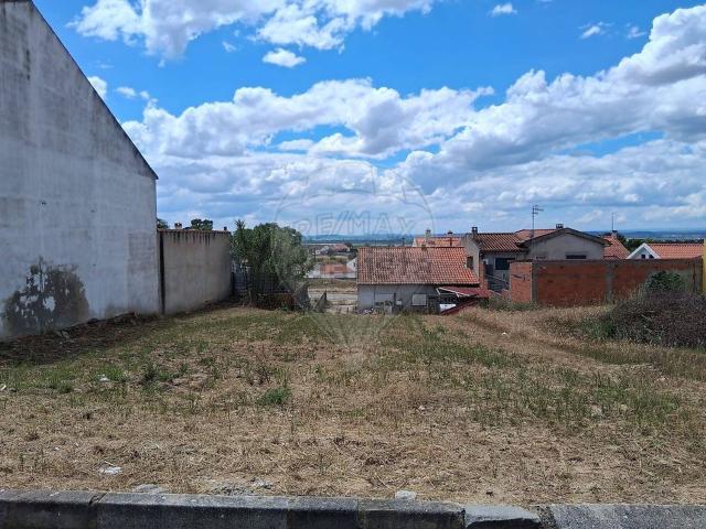 Terreno, Carregueira