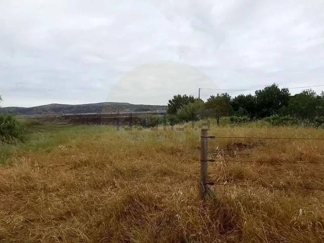 Terreno, Carregueira