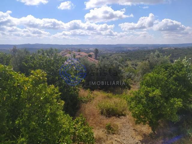Terreno, Carregueiros