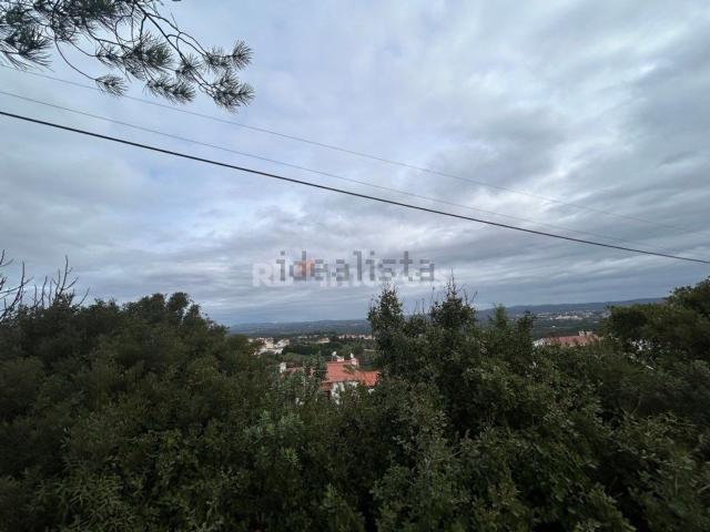 Terreno, Carregueiros
