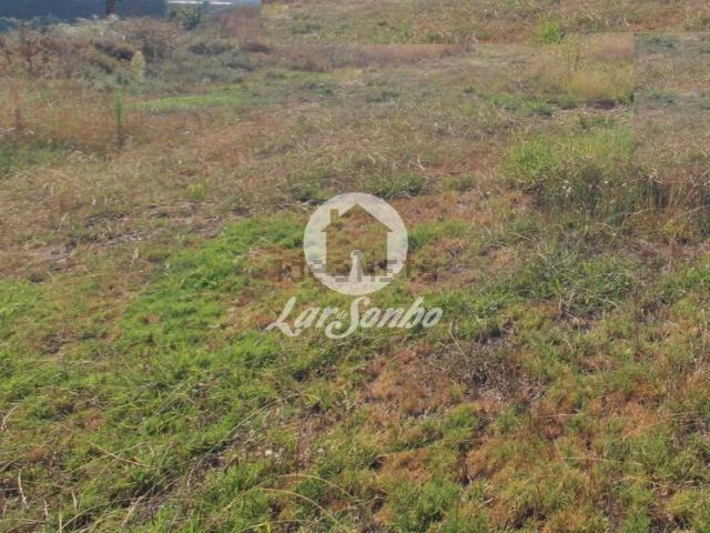 Terreno, Carreira e Fonte Coberta