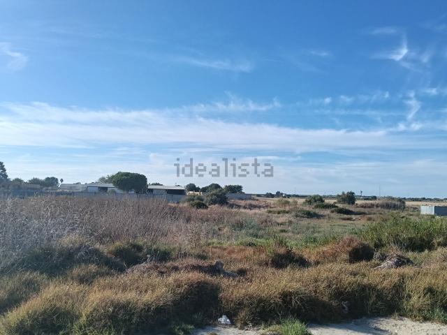 Terreno, Carretera de Sanlúcar Sudamérica, El Puerto de Santa María