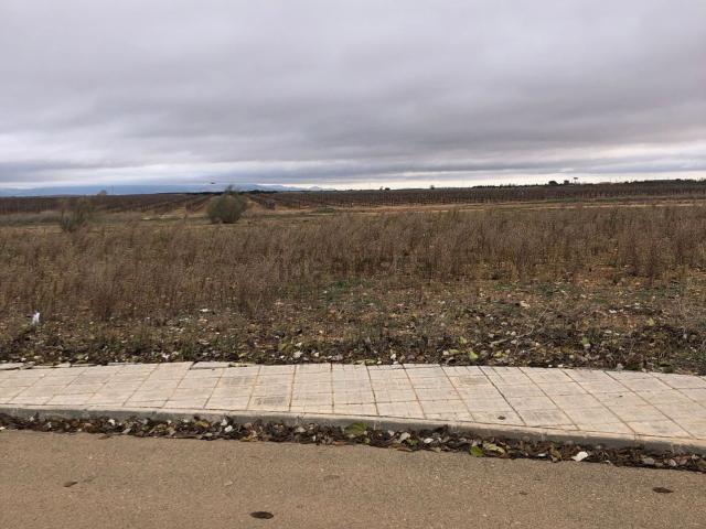 Terreno, Carrion de Calatrava