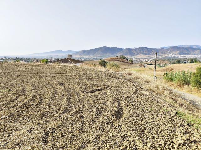 Terreno, Cártama