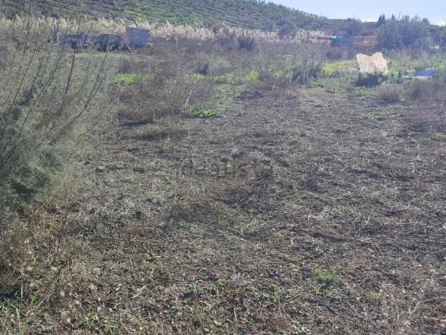 Terreno, Cártama