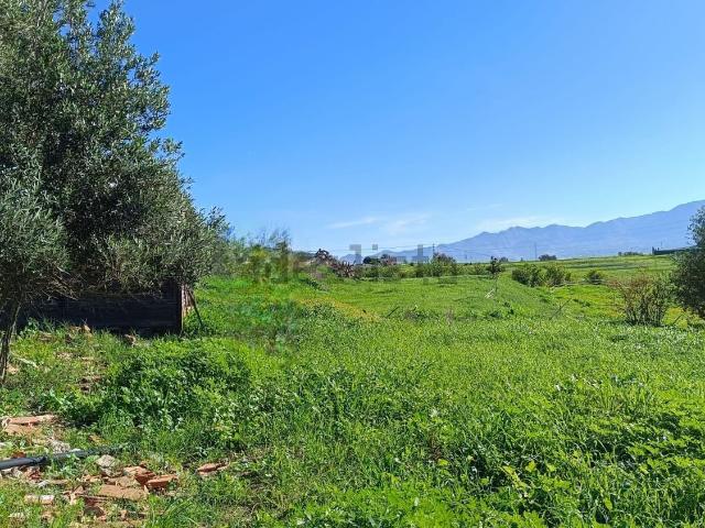 Terreno, Cártama