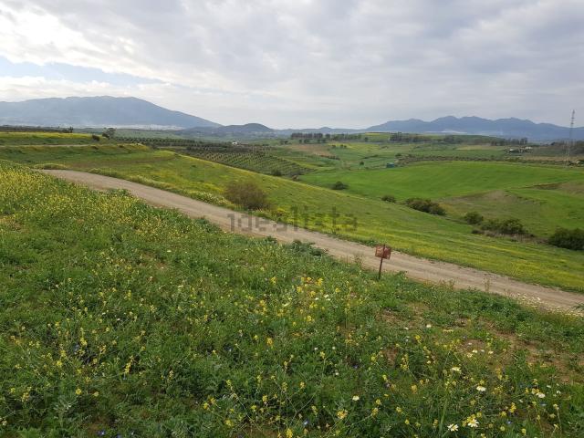 Terreno, Cártama