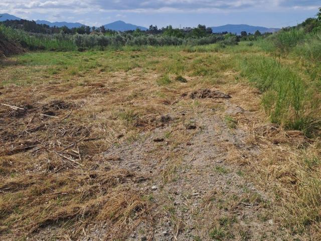 Terreno, Cártama