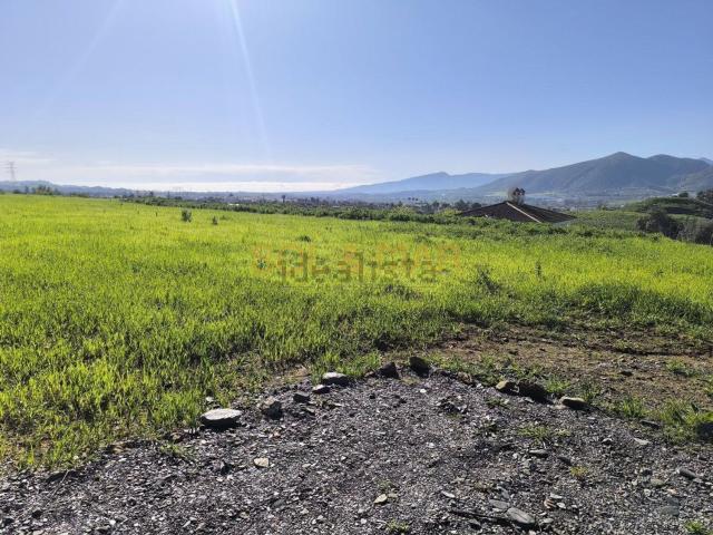 Terreno, Cártama