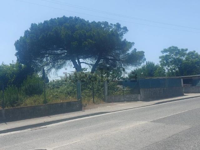 Terreno, Cartaxo e Vale da Pinta