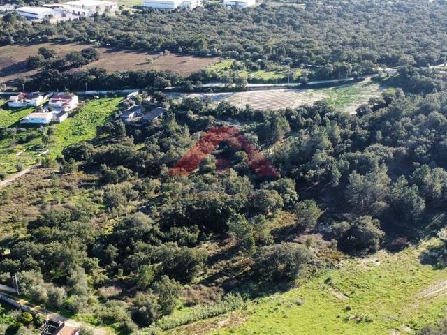 Terreno, Cartaxo e Vale da Pinta