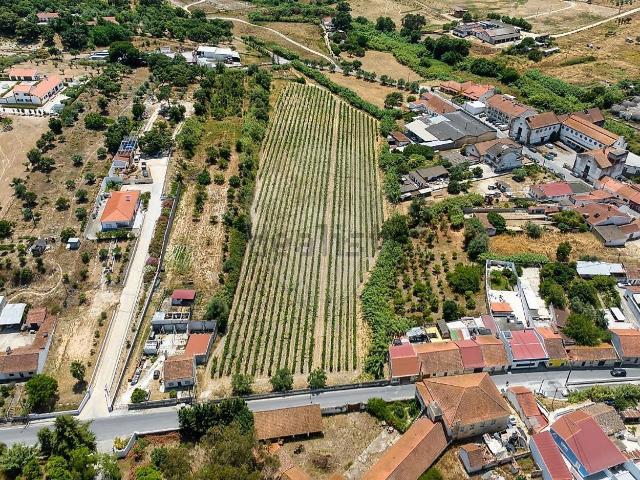 Terreno, Cartaxo e Vale da Pinta