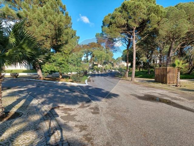 Terreno, Carvalhal