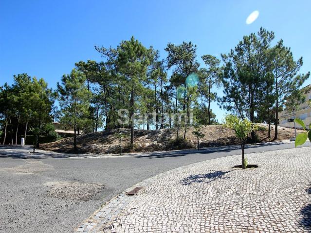 Terreno, Carvalhal