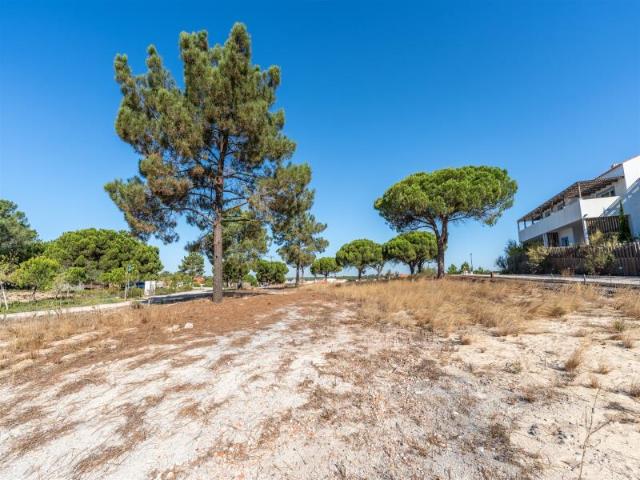 Terreno, Carvalhal, Grândola | BPI Expresso Imobiliário
