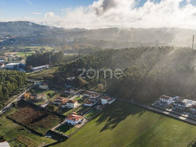 Terreno, Carvalhosa
