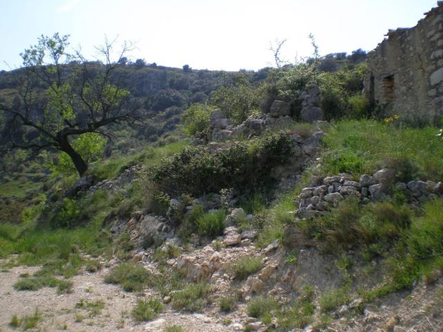 Terreno, Cati