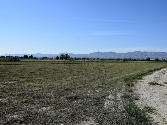 Terreno, Catral