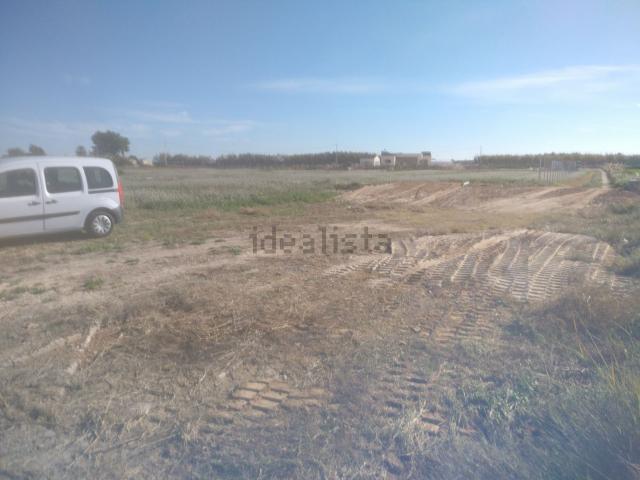 Terreno, Catral