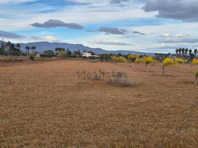 Terreno, Catral