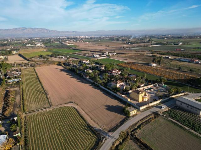 Terreno, Catral