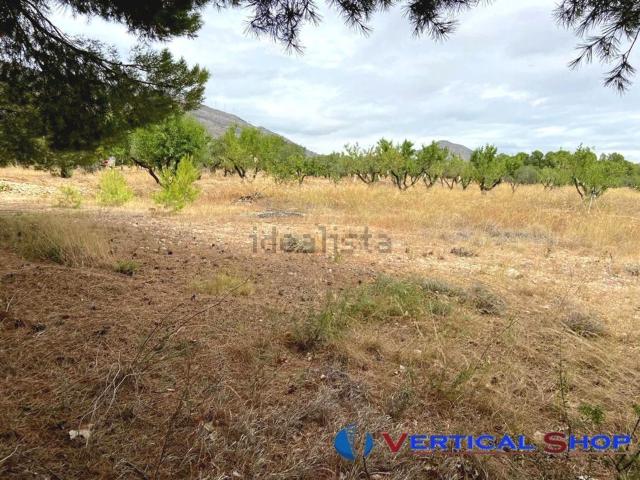Terreno, Caudete