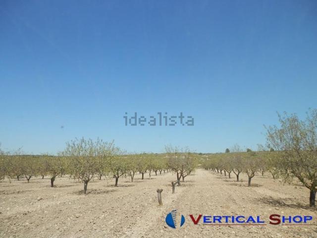 Terreno, Caudete