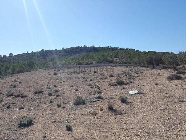 Terreno, Caudete